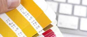 print designers in kent, colour swatches