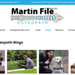 martin file osteopath web design